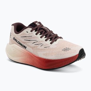 Dámské běžecké boty Salomon Aero Blaze 4 vanilla ice/huckleberry