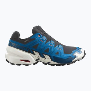 Pánské běžecké boty Salomon Speedcross 6 GTX black/mykonos blue