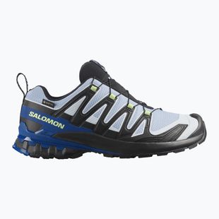 Pánské běžecké boty Salomon XA Pro 3D V9 GTX Icon black/brunnera blue