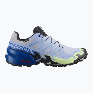 Pánské běžecké boty Salomon Speedcross 6 GTX Icon brunnera blue/surf the web