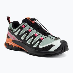 Dámské běžecké boty Salomon XA Pro 3D V9 GTX Icon black/green milieu