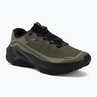 Pánské běžecké boty Salomon Genesis 2 GTX grape leaf/black