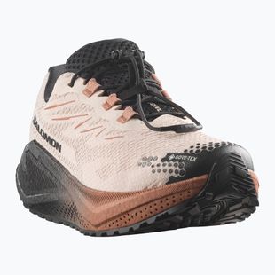 Dámské běžecké boty Salomon Aero Blaze 4 GRVL GTX vanilla ice/black