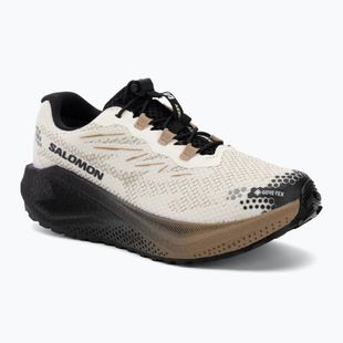 Dámské běžecké boty Salomon Aero Blaze 4 GRVL GTX vanilla ice/black