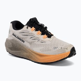 Dámské běžecké boty Salomon Aero Blaze 4 GRVL GTX rainy day/black