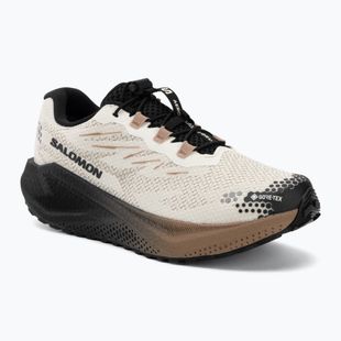 Pánské běžecké boty Salomon Aero Blaze 4 GRVL GTX vanilla ice/black