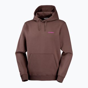 Pánská běžecká mikina Salomon Shortney Hoodie shopping bag