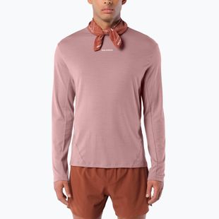 Pánské běžecké tričko Longsleeve Salomon Sense Merino Tee LS antler