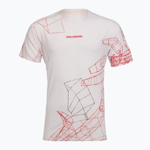 Pánské běžecké tričko Salomon S\Lab Speed Tee SS lilac ash