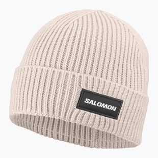 Zimní čepice Salomon Classic silver cloud