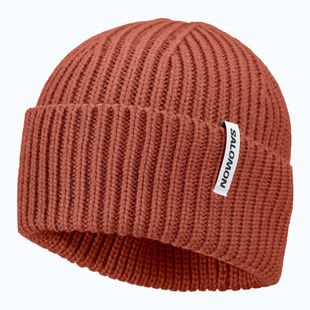 Zimní čepice Salomon Snowbird burnt umber