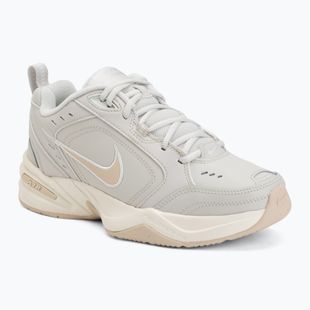 Pánské tréninkové boty Nike Air Monarch IV light bone/spruce aura/sanddrift