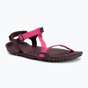 Dámské barefoot sandály Xero Shoes Z-Trail EV fuchsia purple
