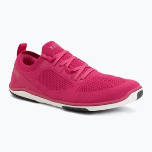 Dámské barefoot boty Xero Shoes Nexus Knit fuchsia purple