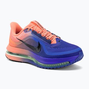 Pánské běžecké boty Nike Pegasus Premium racer blue/atomic pink/volt tint/black