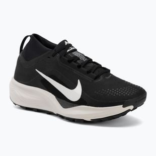 Pánské běžecké boty Nike ACG Pegasus Trail GORE-TEX Black/Light Orewood Brown/Summit White