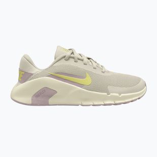 Dámské tréninkové boty Nike Flex Train phantom/platinum violet/sail/fennel