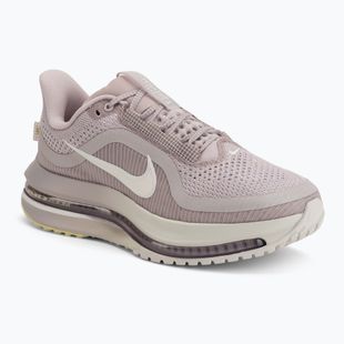 Dámské běžecké boty Nike Pegasus Premium particle rose/silver lilac/sail