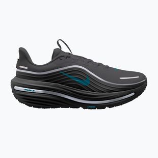 Pánské běžecké boty Nike Winflo 12 GORE-TEX anthracite/black/bright spruce