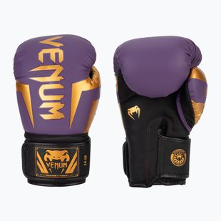 Boxerské rukavice Venum Elite dark purple