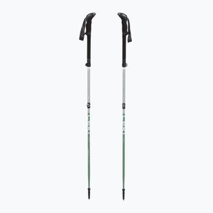 Trekové hole LEKI Makalu FX TA silver/greygreen/white