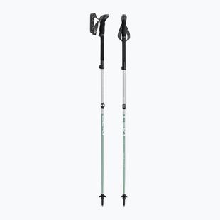 Trekové hole LEKI Makalu FX TA silver/greygreen/white