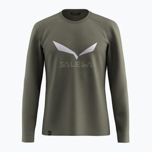 Pánské tričko Longsleeve Salewa Solidlogo Dry faded green