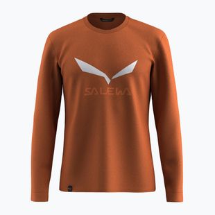 Pánské tričko Longsleeve Salewa Solidlogo Dry bombay brown