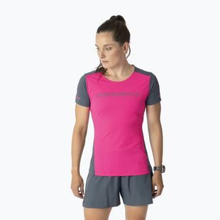 Dámské běžecké tričko DYNAFIT Alpine 2 Tee pink glo