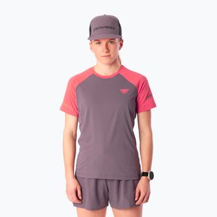 Dámské běžecké tričko Dynafit Alpine Pro SS Tee cabana/6A90