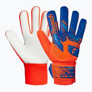 Brankářské rukavice Reusch Attrakt Starter Solid shocking orange/blue