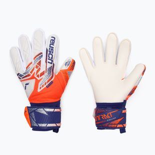 Brankářské rukavice Reusch Attrakt Silver shocking orange/energize blue