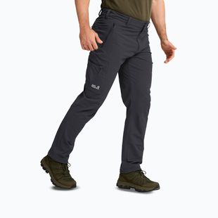 Pánské trekové kalhoty Jack Wolfskin Activate Flex phantom