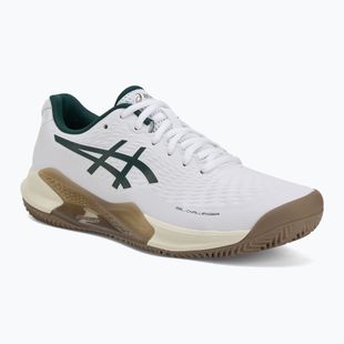 Pánské tenisové boty ASICS Gel-Challenger 14 Clay white/saxon green