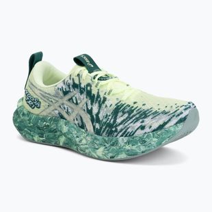 Pánské běžecké boty ASICS Noosa Tri 16 illuminate yellow/jewel green