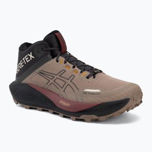 Pánské běžecké boty Asics Gel-Trabuco Mt Gtx taupe grey/graphite grey