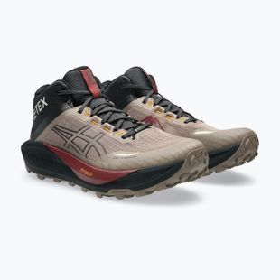 Pánské běžecké boty Asics Gel-Trabuco Mt Gtx taupe grey/graphite grey