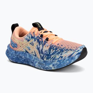 Pánské běžecké boty ASICS Noosa Tri 16 bright sunstone/soft sky