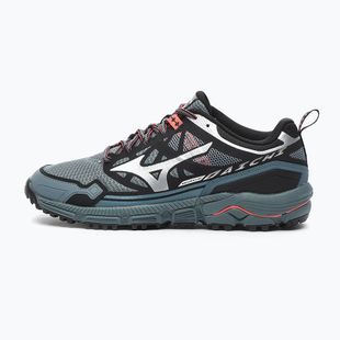 Pánské boty Mizuno Wave Daichi LS stormy weather/silver
