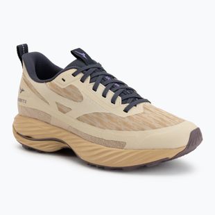 Dámské běžecké boty Mizuno Wave Rider TT 3 curds&whey/summer sand/moonscape