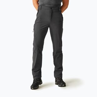 Pánské trekové kalhoty REGATTA Travel Light Packaway ash