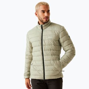 Pánská oteplená bunda  REGATTA Marizion abbeystone/nephrite green