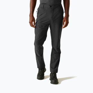 Pánské trekové kalhoty REGATTA Highton II ash