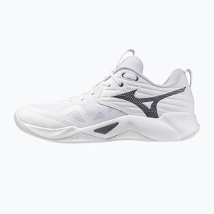 Volejbalové boty Mizuno Wave Momentum Pro white/metallic gray/black