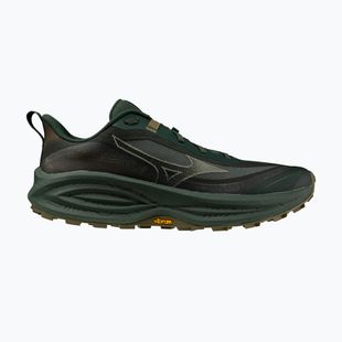 Pánské běžecké boty Mizuno Neo Daichi 10 Gtx sycamore/sea spray/martini olive