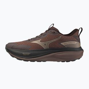 Dámské běžecké boty Mizuno Wave Rider Tt 4 peppercorn/simply taupe/black