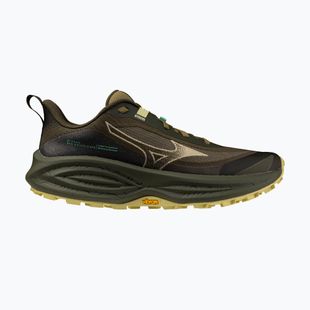 Dámské běžecké boty Mizuno Neo Daichi 10 Gtx forest night/silver fern/beechnut