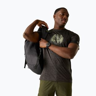 Pánské trekové tričko REGATTA Fingal ash marl