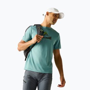 Pánské trekové tričko REGATTA Fingal arctic