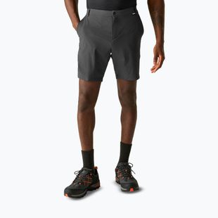 Pánské trekingové šortky REGATTA Anti Insect Travel Light ash